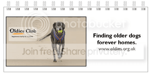 Oldies Club calendar girls — Unknown