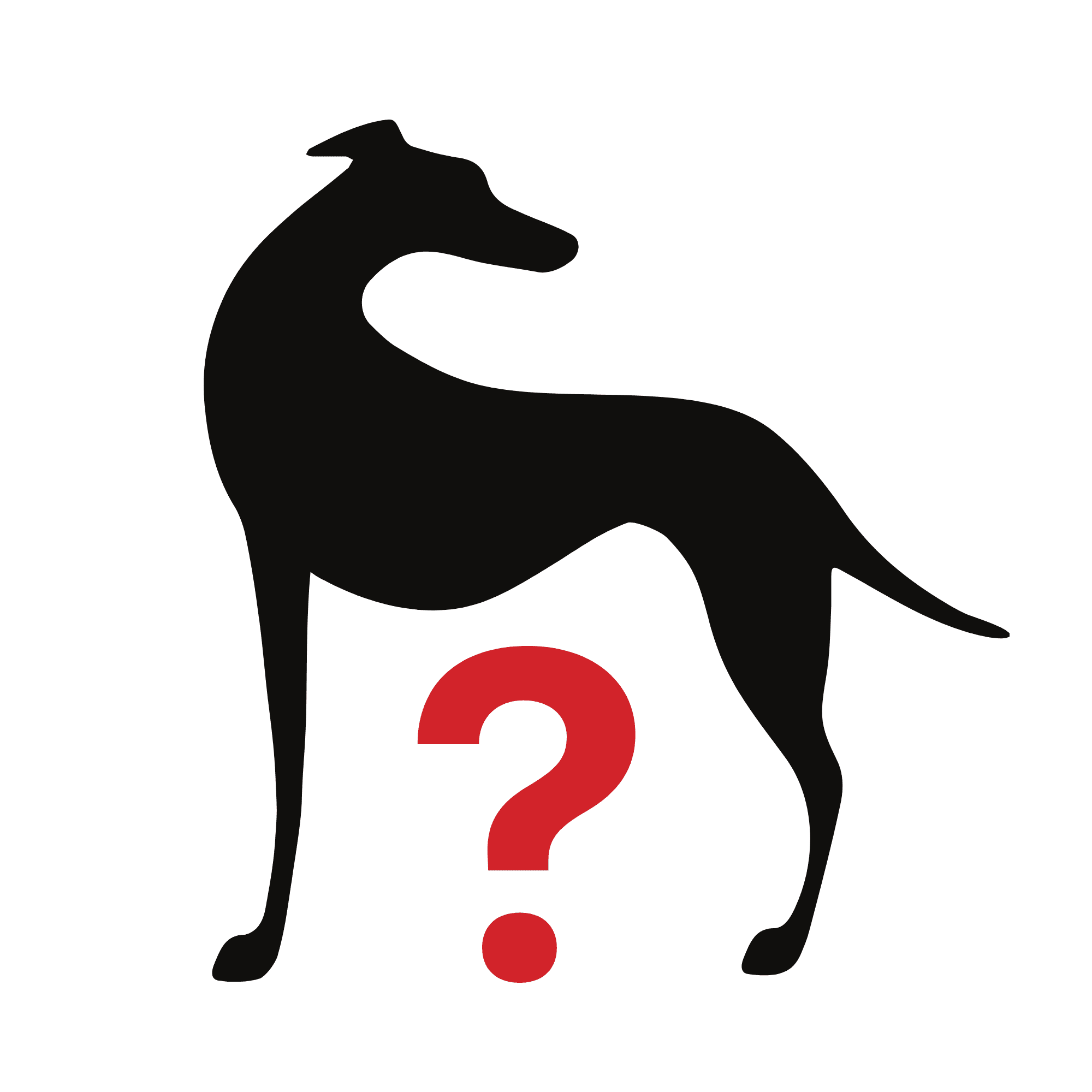 A Dog For You — Dogs (The Latter Mainly Relating To Ex R