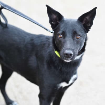 Dornröschen photo 5