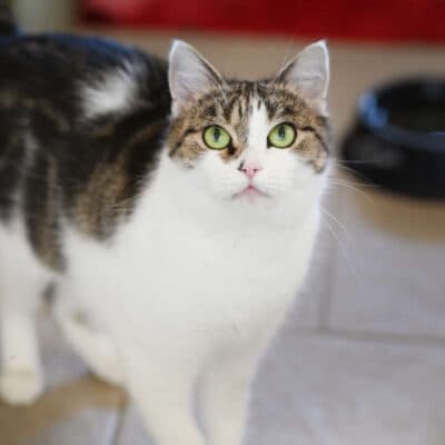 Gundula & Gunter photo 2