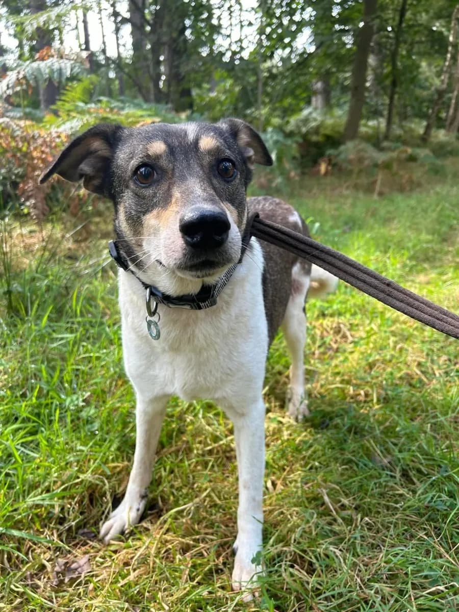 Benjamin — Unknown