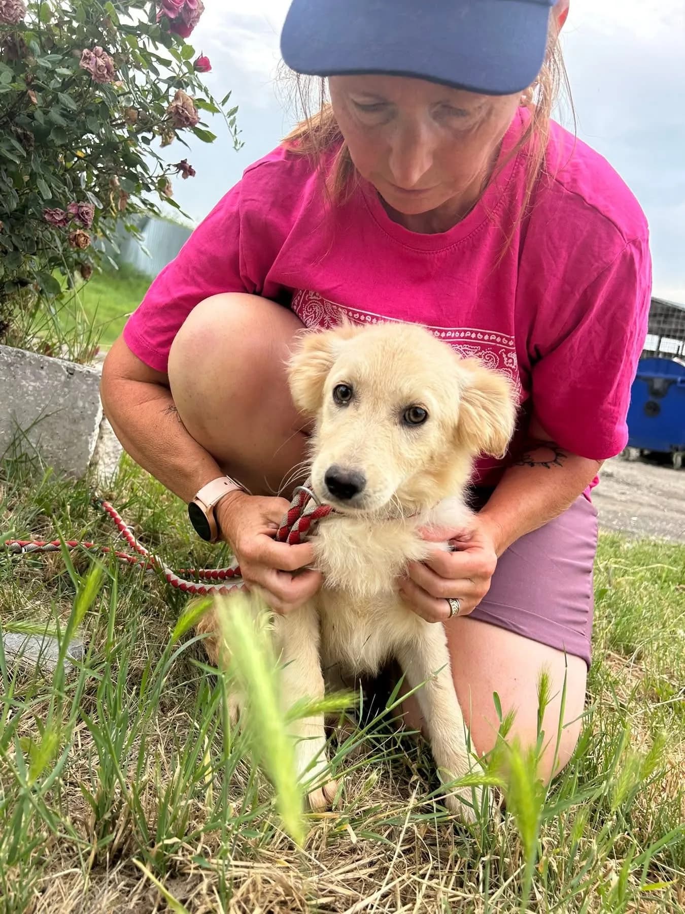 Cathy — Cross-breed