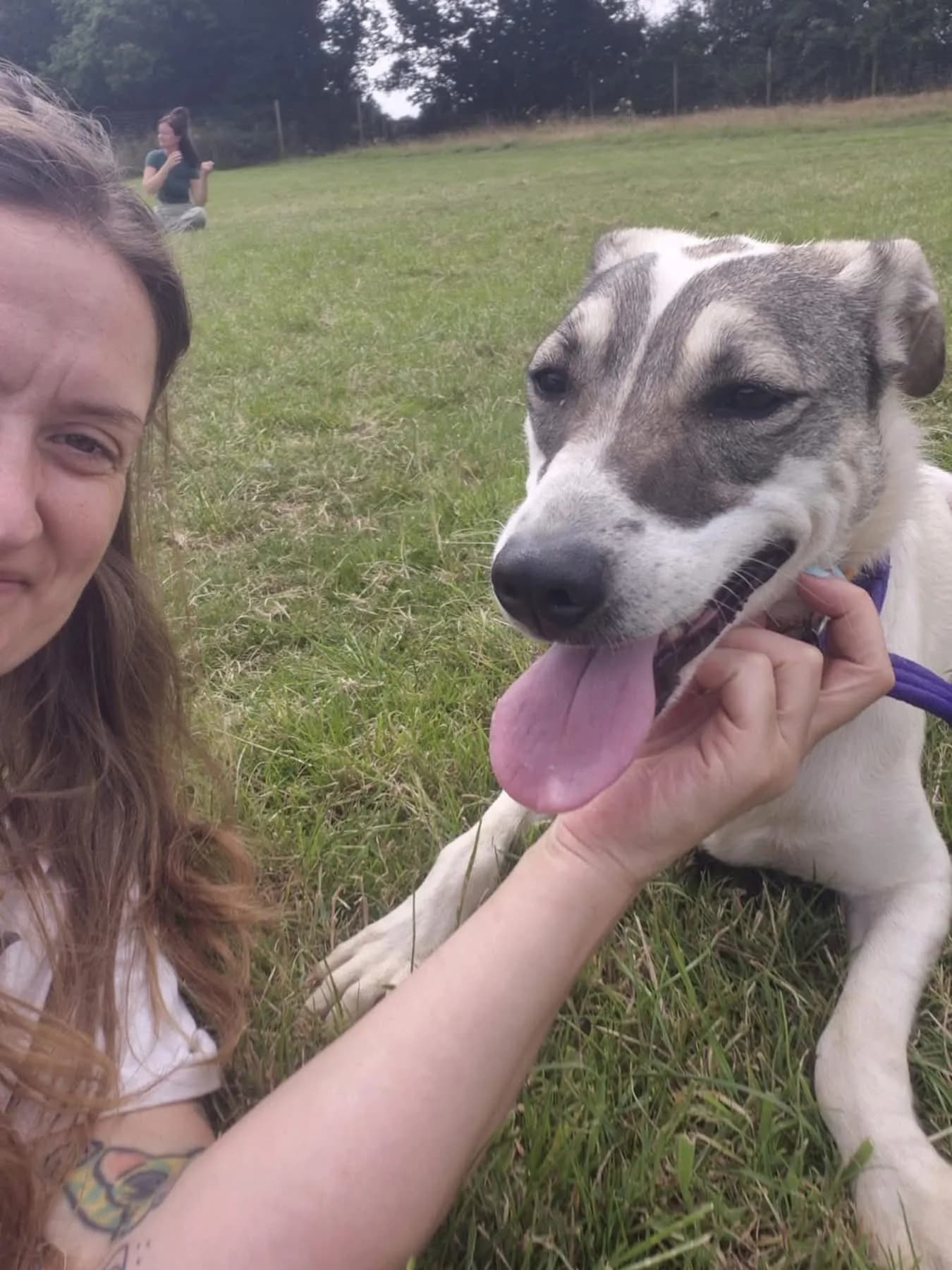 Lotty — Cross-breed