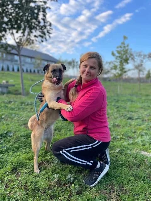 Darcy — Cross-breed