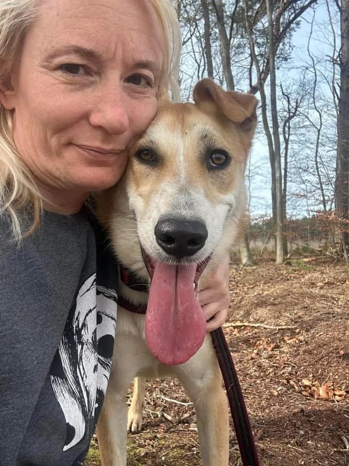 Cristina — Cross-breed