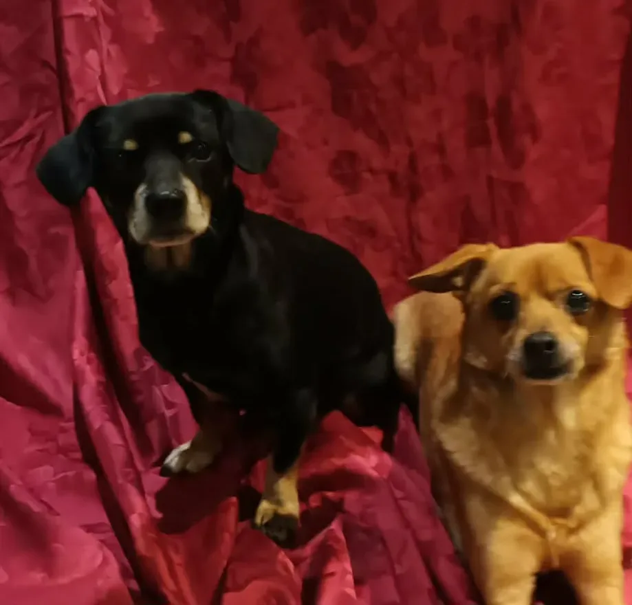 Seona and Luigi — Unknown