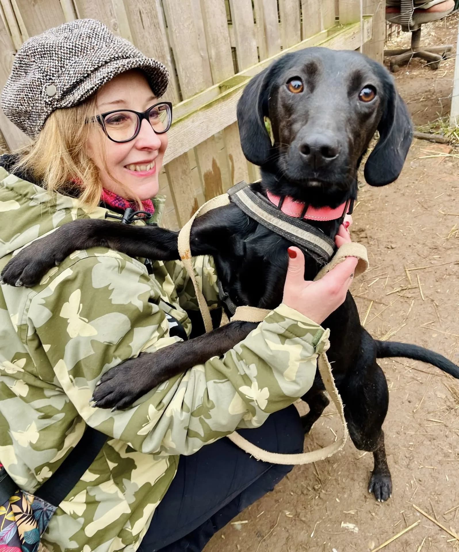 Trixy — Cross-breed