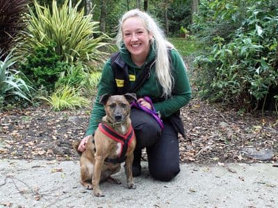 Barney — Mixed Breed