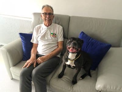 Gamora — Terrier (Staffordshire Bull)