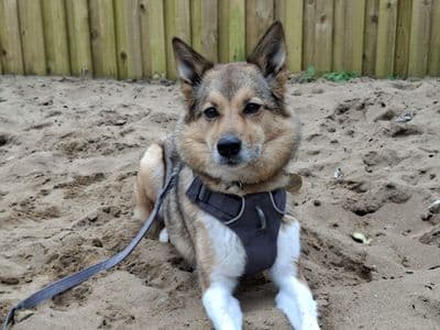 Patty — Unlisted Cross