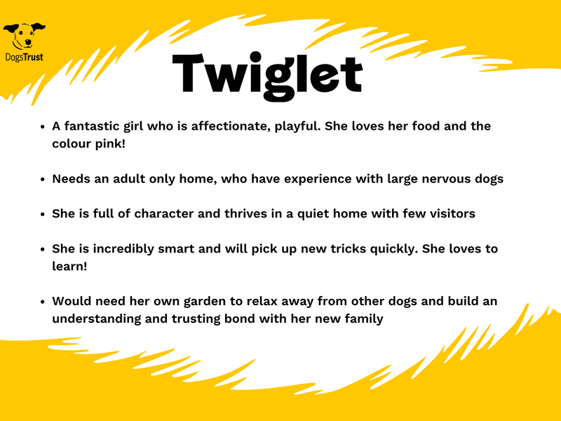 Twiglet photo 3