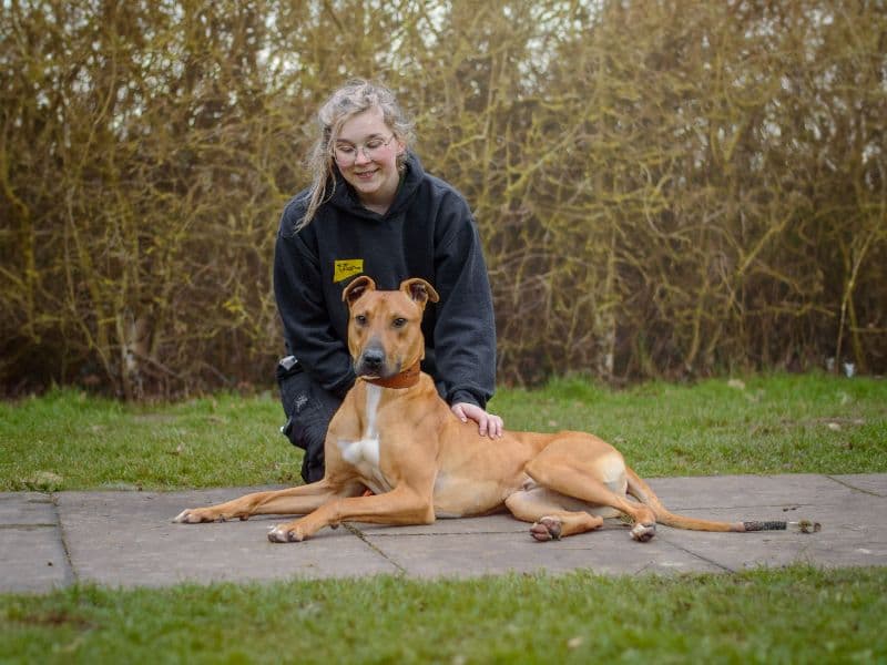 Captain Porkchop photo 3