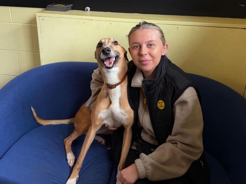 Lelli Longlegs photo 3