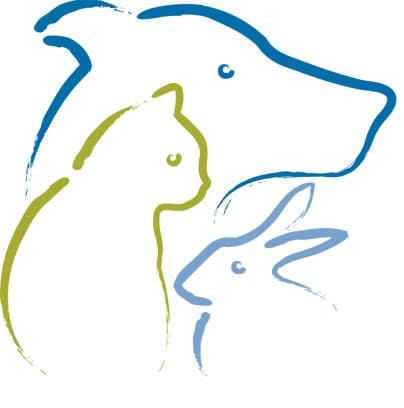 Lady — Of Home They Require For Their Own Parti