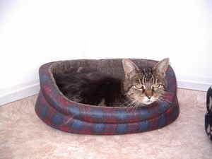 Florence — Unknown