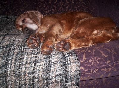 A Happy Ending for Ralph — Unknown