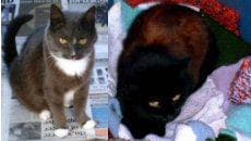 Max & Tufty — Unknown