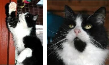 Bonnie & Clyde — Unknown