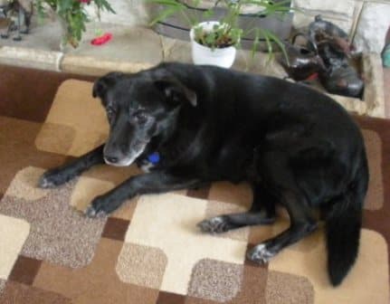 Charming Charlie — Unknown