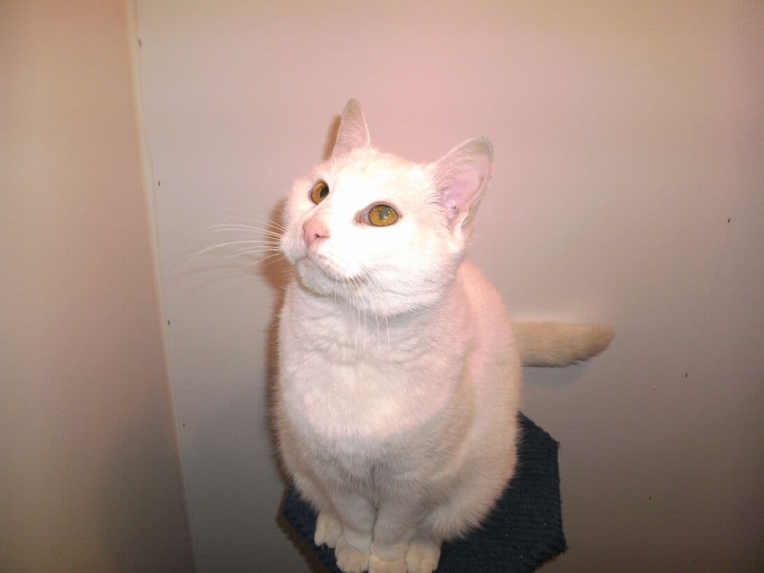 Metz and Jake — Unknown