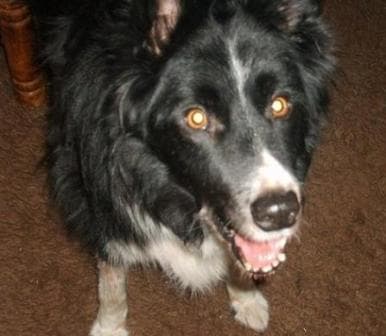 Ball-mad Mitzi — Unknown