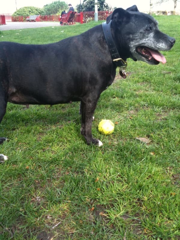 Everyone loves Imogen — Unknown