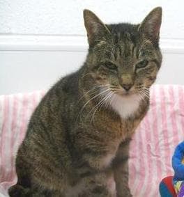 Victoria Plum — Unknown