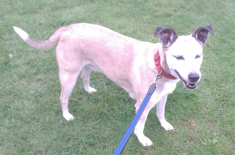 News from Lucky Freda — Unknown