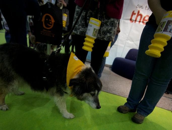 A letter from Jasper — Unknown