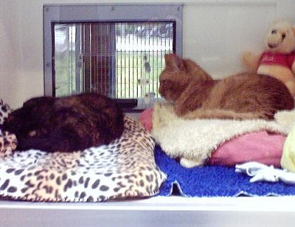 Slim and Spot — Unknown