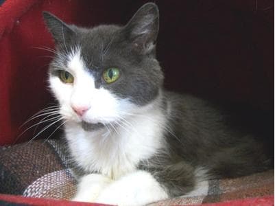 Nourishing — Unknown