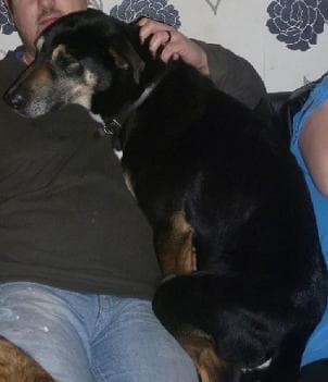 Special Mouse — Unknown