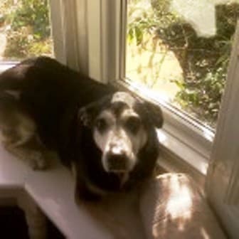 Charlie and Cain — Unknown