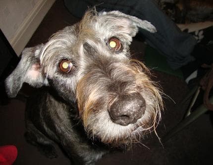 Beautiful Fudge — Unknown