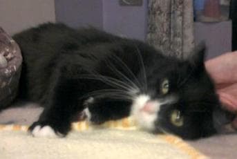 Scramble — Unknown