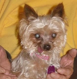 An urgent plea from our Treasurer — Unknown