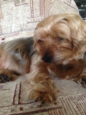 Fudge, soft, sweet, and irresistible — Unknown