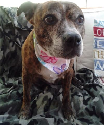 Ta-ra-ra-Boom-de-ay — Unknown