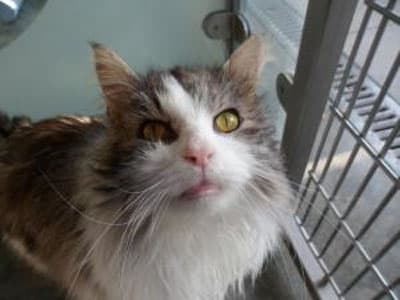 Oscar and Raquelle — Unknown