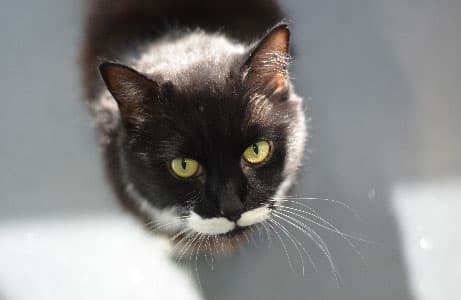 Tom and Jack — Unknown