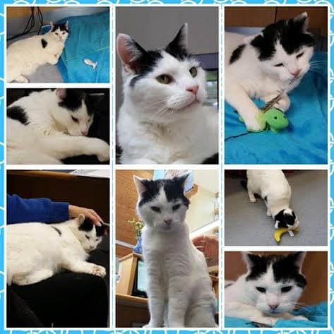 Chrissie — Unknown