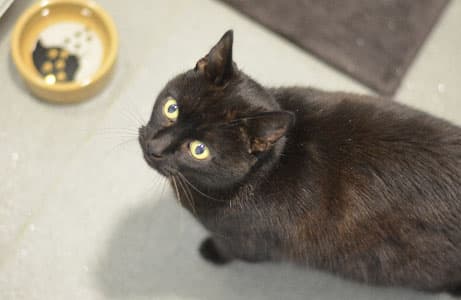 Buddy Holly — Unknown