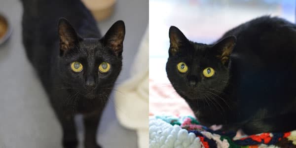 Susie and Ollie — Unknown