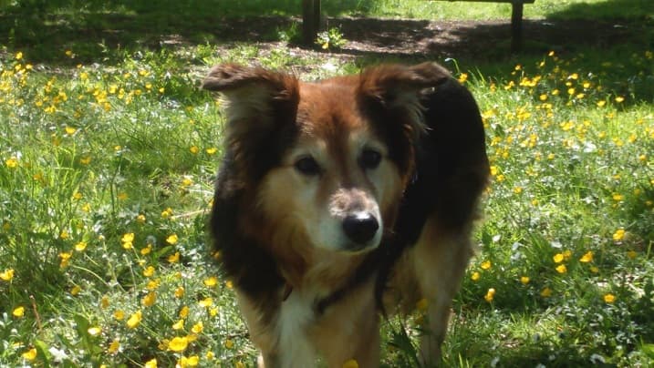 Pretty boy Pete! — Unknown