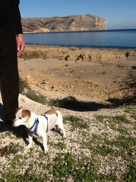 Honey – the superstar senorita! — Unknown