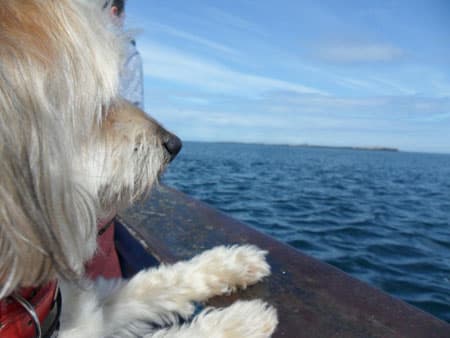 Bonnie goes boating — Unknown