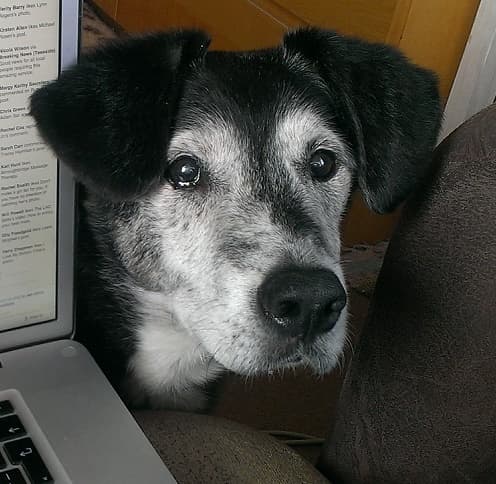 Henry, the Hoover! — Unknown