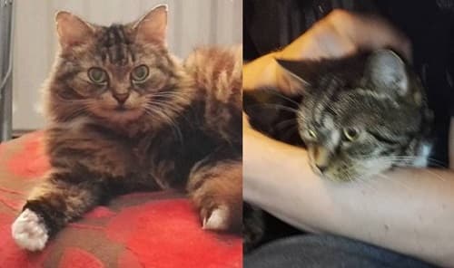 Jake and Scragg — Unknown