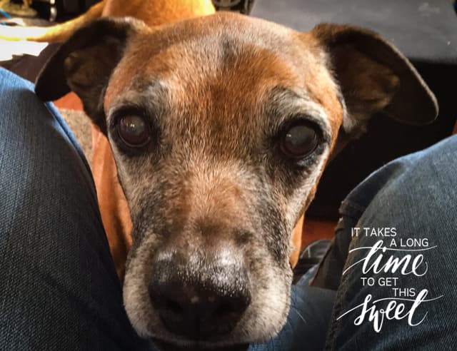 Marvellous Marti — Unknown