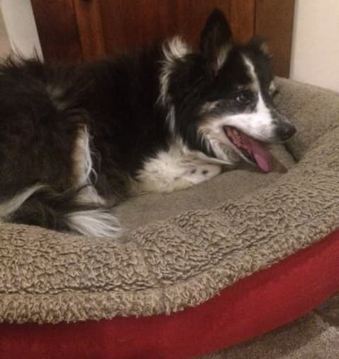 Angel Megan — Unknown